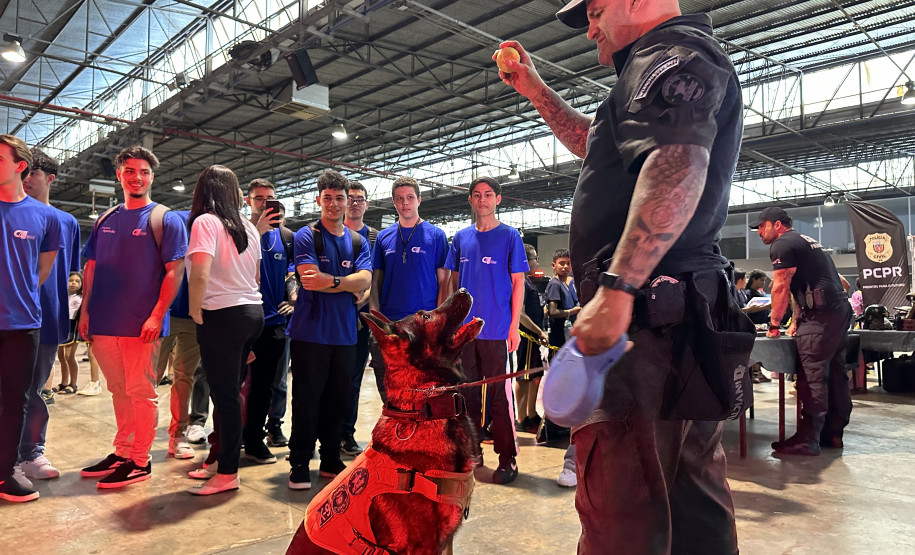 Gabrielle Sversut/PCPR