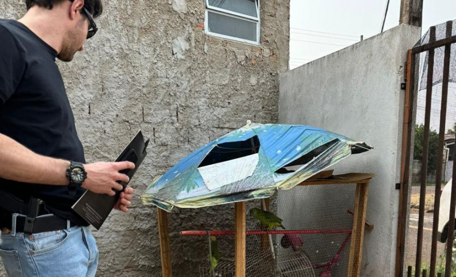 PCPR resgata papagaios mantidos ilegalmente em residência