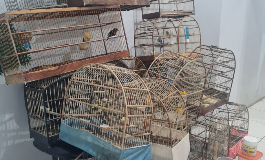 PCPR prende duas pessoas em ação contra os maus-tratos aos animais na RMC