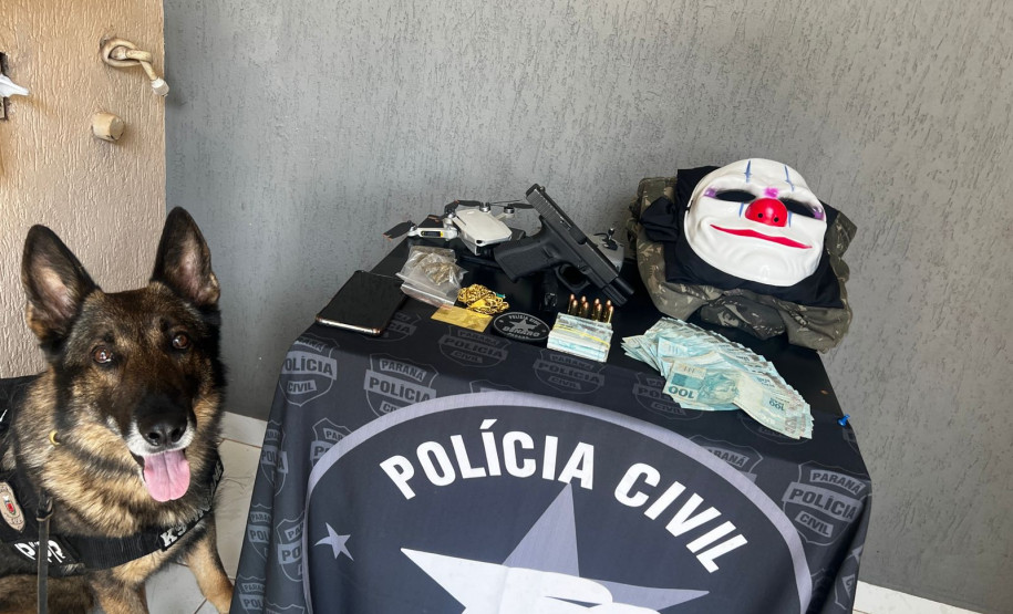 PCPR prende mulher por posse de arma de fogo e bloqueia chácara avaliada em 700 mil reais em Foz do Iguaçu