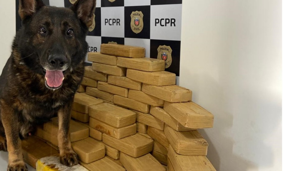 PCPR deflagra operação e apreende dinheiro e 70 quilos de crack em Mandaguaçu