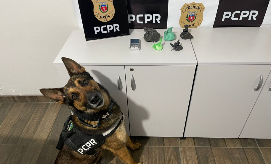 PCPR e PMPR prendem duas pessoas por tráfico de drogas e associação para o tráfico em São Mateus do Sul