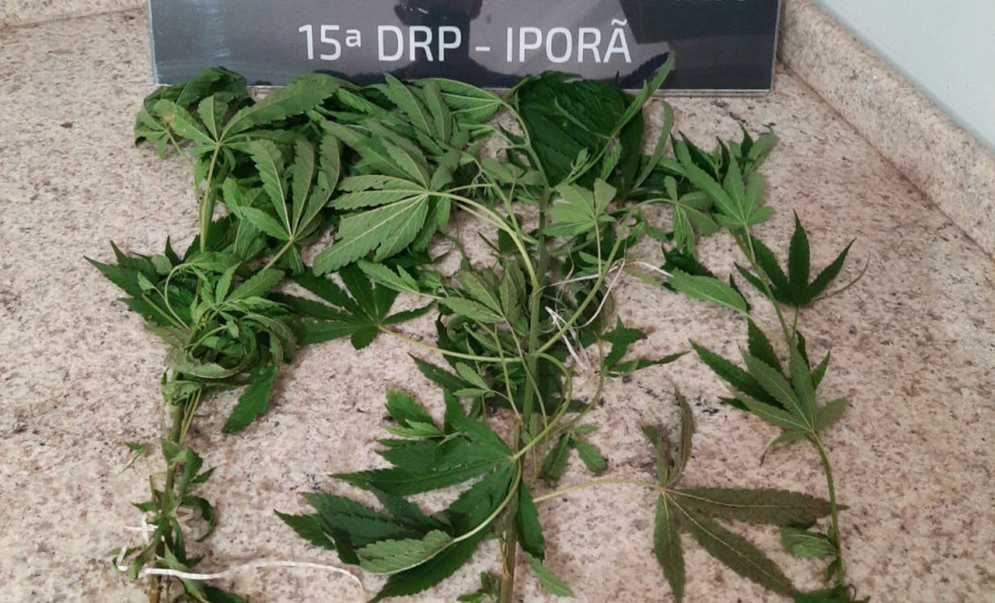 PCPR prende mulher em flagrante por tráfico de drogas em Rio Bonito