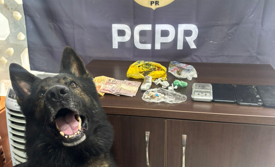 PCPR prende oito pessoas por crimes distintos em Rio Negro