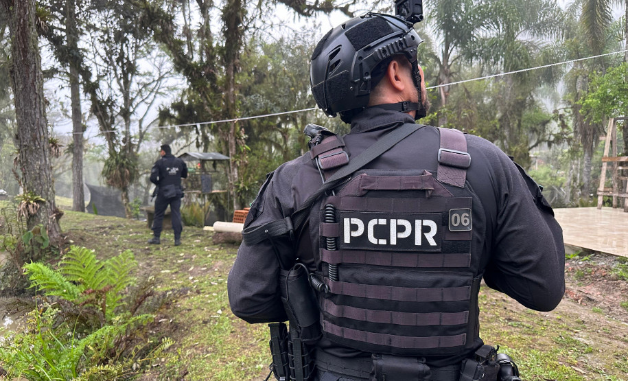 PCPR prende 12 pessoas em operação contra o tráfico de drogas em quatro cidades do Paraná
