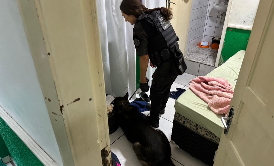 PCPR prende 20 pessoas envolvidas em esquema de tráfico de drogas no Centro de Curitiba