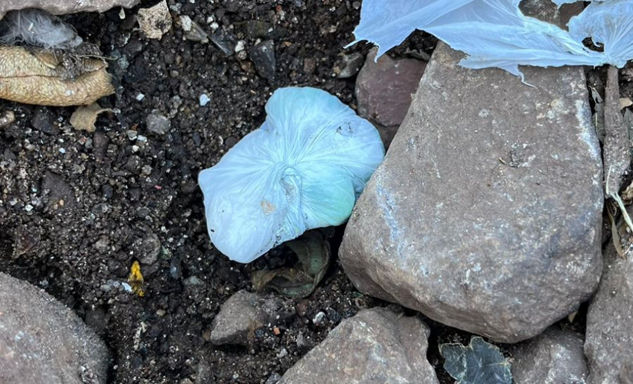 PCPR apreende adolescente em flagrante por tráfico de drogas em Realeza