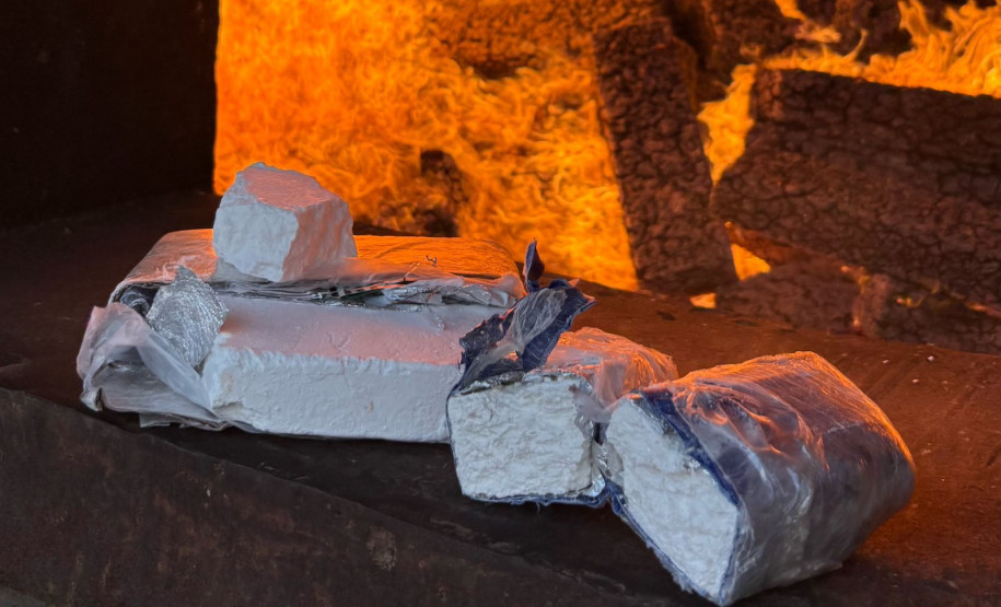 PCPR incinera mais de meia tonelada de drogas em Palmeira