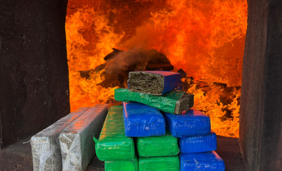 PCPR incinera mais de meia tonelada de drogas em Palmeira