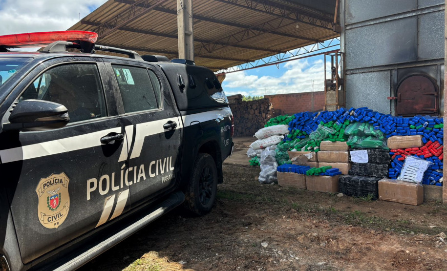 PCPR incinera mais de meia tonelada de drogas em Palmeira