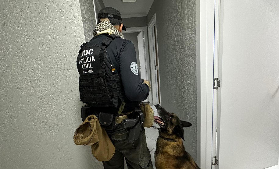 Cães da PCPR ajudaram na apreensão de 2,8 toneladas de drogas em 2024