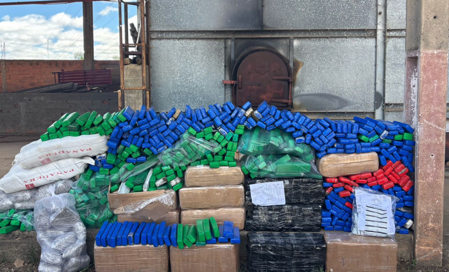 PCPR incinera mais de meia tonelada de drogas em Palmeira