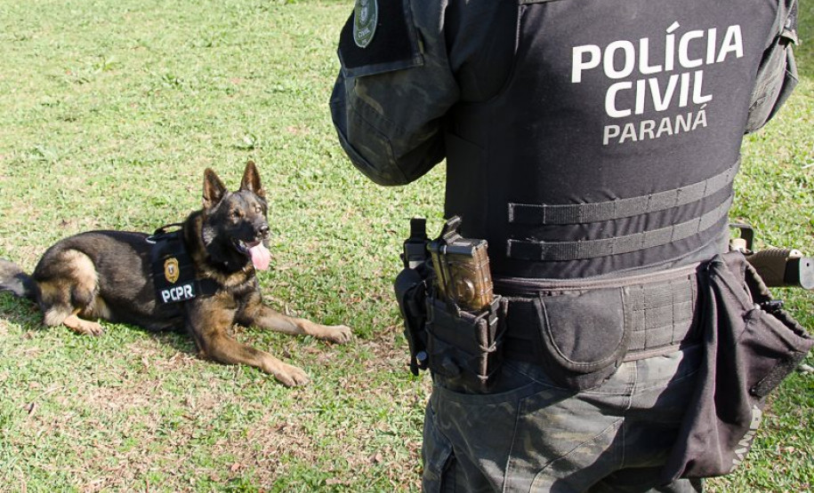 Cães da PCPR ajudaram na apreensão de 2,8 toneladas de drogas em 2024