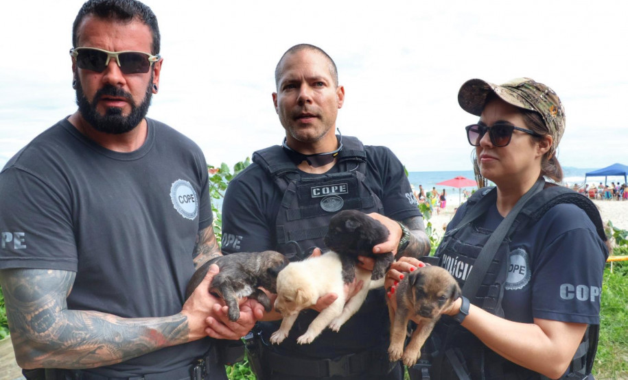 PCPR resgata cadela e filhotes presos em escombros em Guaratuba