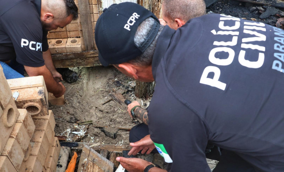 PCPR resgata cadela e filhotes presos em escombros em Guaratuba