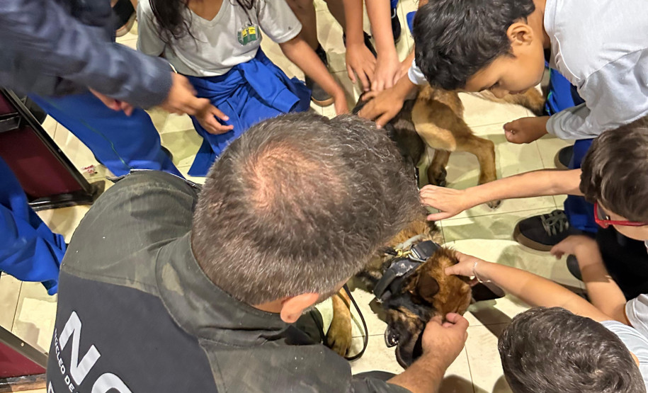 PCPR, em parceria com Conseg, entrega torniquetes para o Núcleo de Operações com Cães