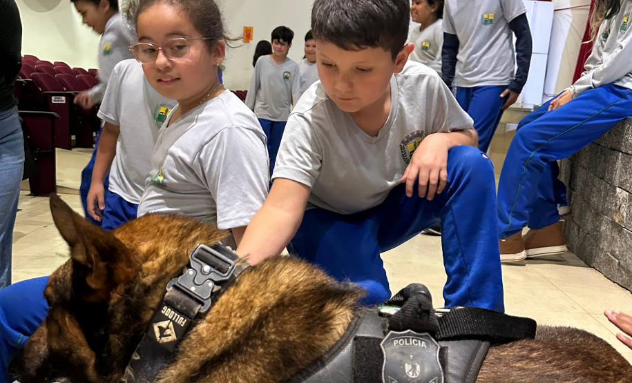 PCPR, em parceria com Conseg, entrega torniquetes para o Núcleo de Operações com Cães