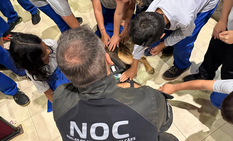 PCPR, em parceria com Conseg, entrega torniquetes para o Núcleo de Operações com Cães