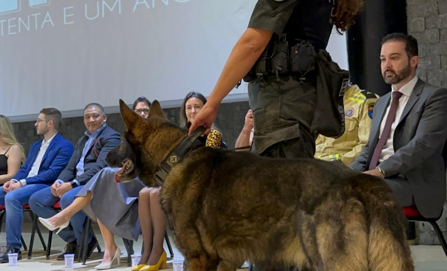 PCPR, em parceria com Conseg, entrega torniquetes para o Núcleo de Operações com Cães