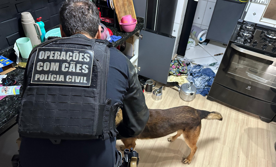 Cães da PCPR ajudaram na apreensão de 2,8 toneladas de drogas em 2024