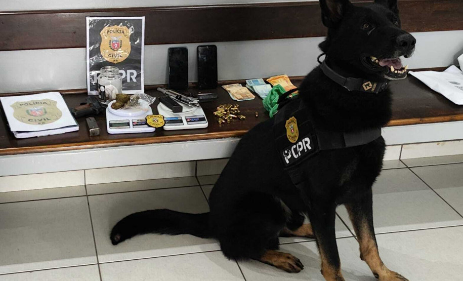 Cães da PCPR ajudaram na apreensão de 2,8 toneladas de drogas em 2024