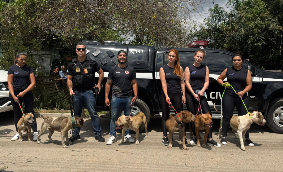 PCPR prende homem por maus tratos aos animais em Curitiba