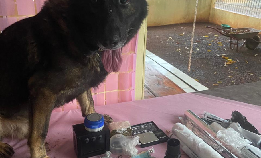 Polícias Civil e Militar deflagram operação e prendem oito suspeitos por tráfico de drogas e crime organizado