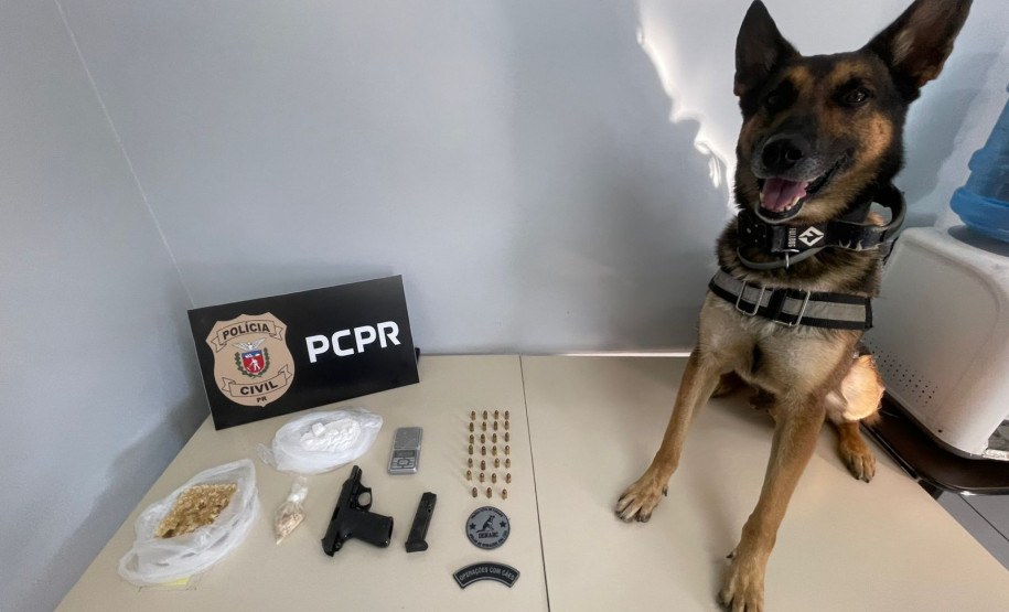 PCPR prende dois suspeitos envolvidos em troca de tiros que feriu quatro pessoas em Francisco Beltrão