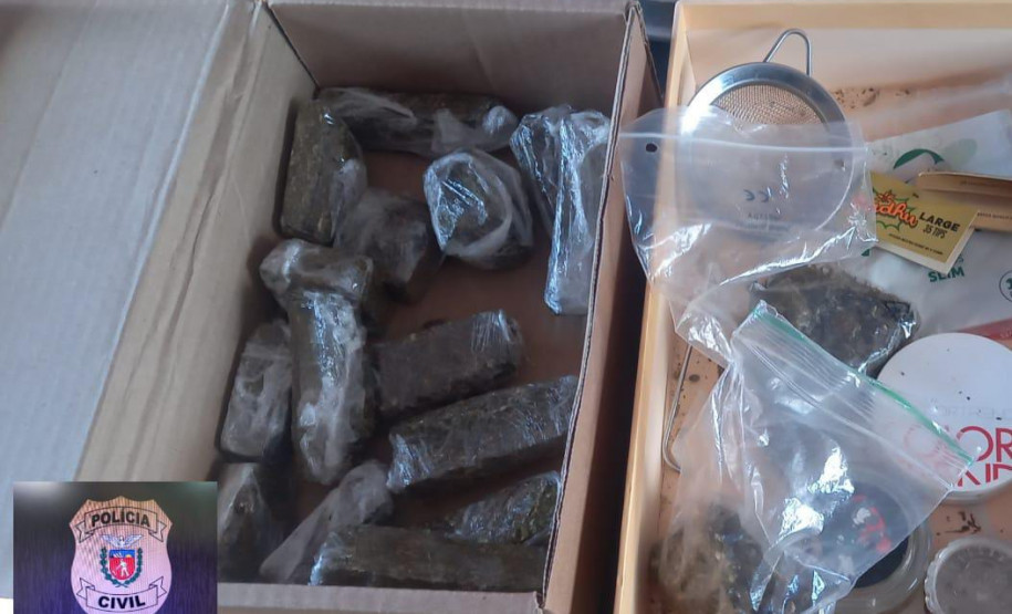 PCPR prende em flagrante homem com plantação de maconha caseira em Guarapuava