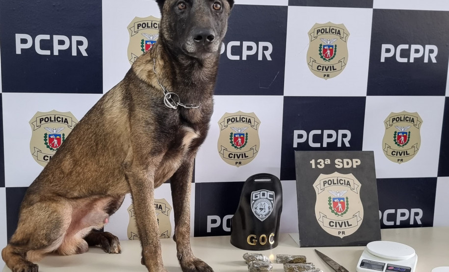 PCPR e GCM prendem mulher em flagrante por tráfico de drogas em Ponta Grossa