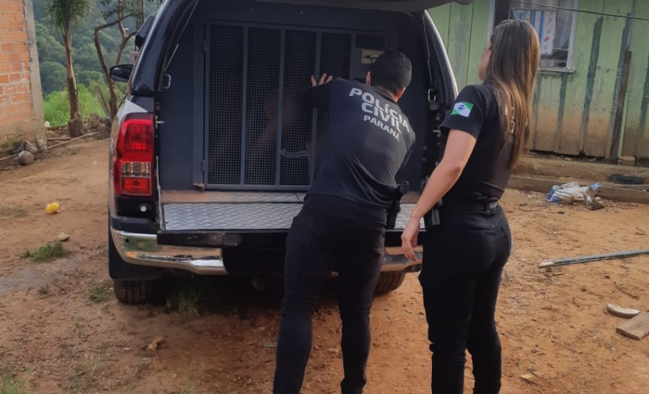 PCPR prende três pessoas por tráfico, receptação e associação criminosa nos Campos Gerais