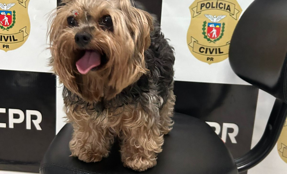 PCPR prende homem e recupera cachorro furtado em Santo Antônio do Sudoeste