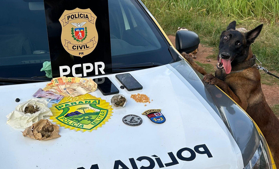 PCPR e PMPR prendem quatro pessoas por tráfico de drogas e associação para o tráfico em Tapira