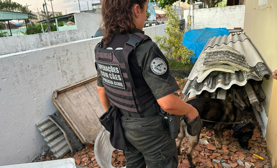 PCPR e PMPR prendem oito pessoas e apreendem drogas em operação contra organização criminosa envolvida no tráfico de drogas no Litoral