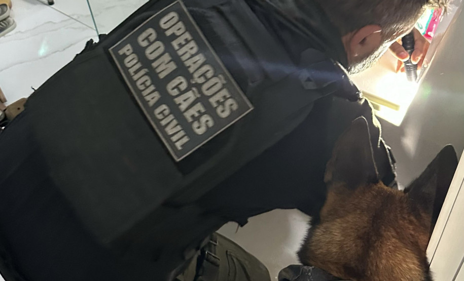 PCPR prende 17 pessoas e apreende drogas, armas e dinheiro em operação contra organização criminosa em Colombo