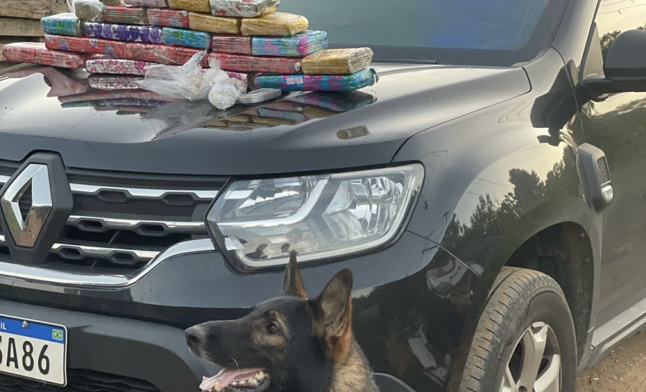 PCPR prende 17 pessoas e apreende drogas, armas e dinheiro em operação contra organização criminosa em Colombo