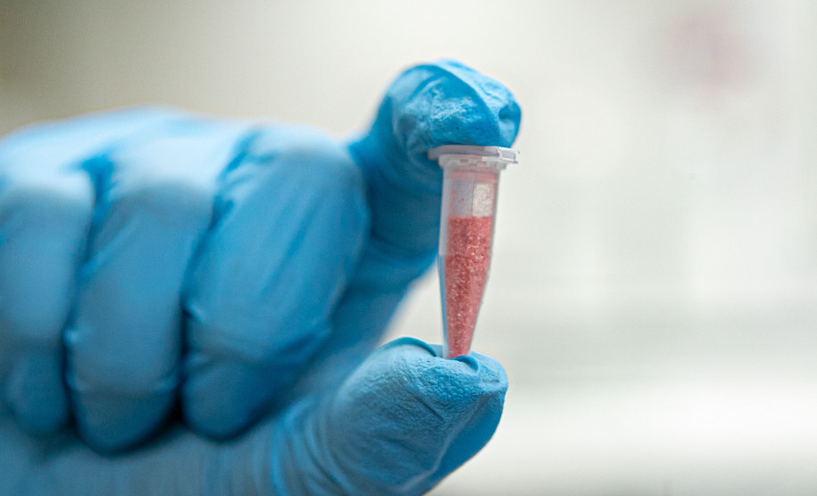 Alerta de segurança: Polícia Científica identifica cocaína rosa após apreensão realizada pela PCPR