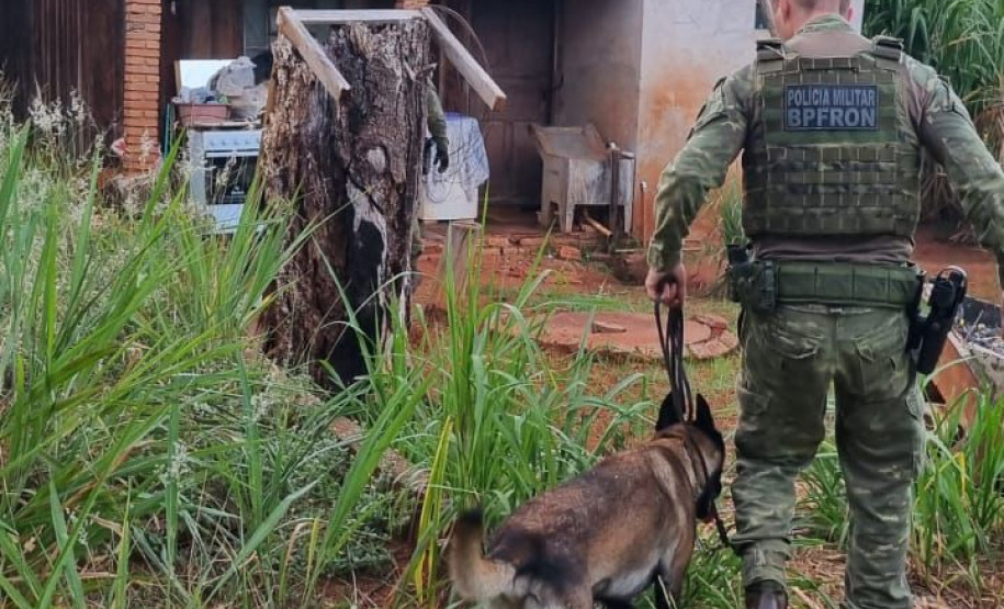 PCPR, PMPR e Força Nacional prende cinco pessoas durante operação em Pérola