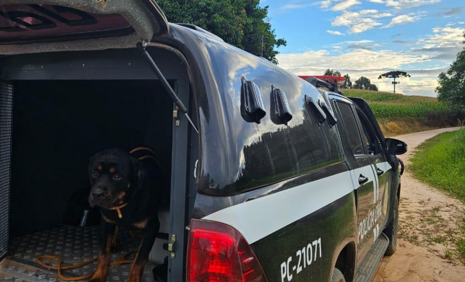 PCPR prende três pessoas por tráfico, receptação e associação criminosa nos Campos Gerais