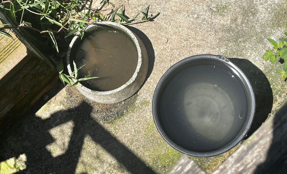 PCPR prende homem em flagrante por maus tratos e resgata animais em Pinhais (4626)