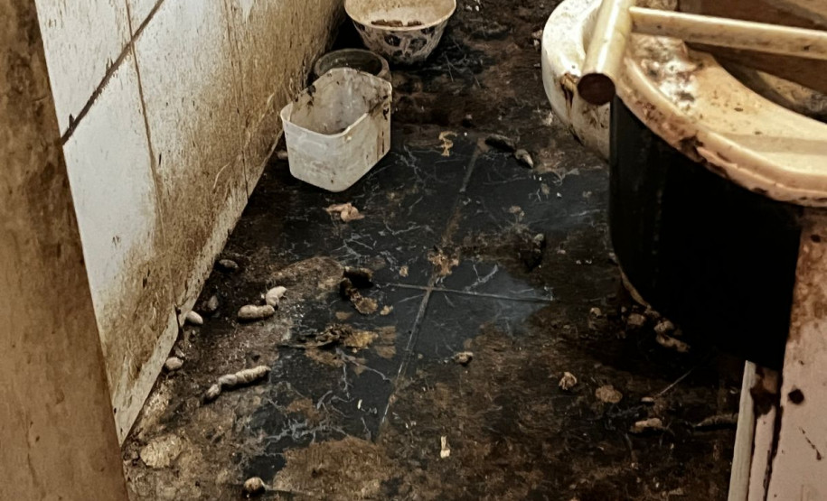 PCPR prende homem em flagrante por maus tratos e resgata animais em Pinhais (4626)