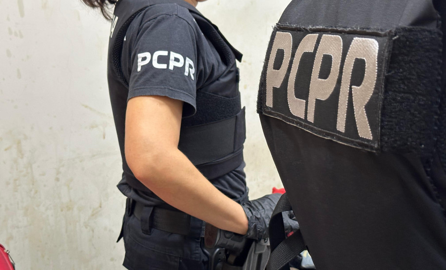 PCPR lidera operação nacional contra consumidores de material de abuso infantil na internet