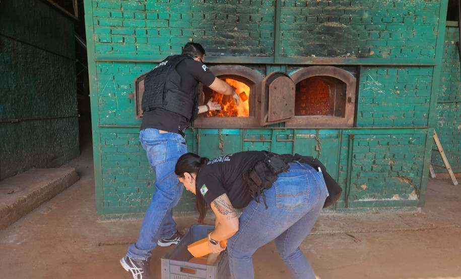 PCPR incinera mais de duas toneladas de drogas em São Miguel do Iguaçu