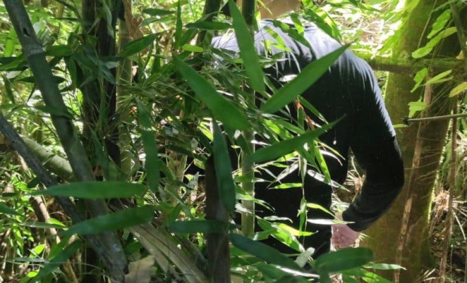 PCPR prende duas pessoas por homicídio e ocultação de cadáver em Francisco Beltrão