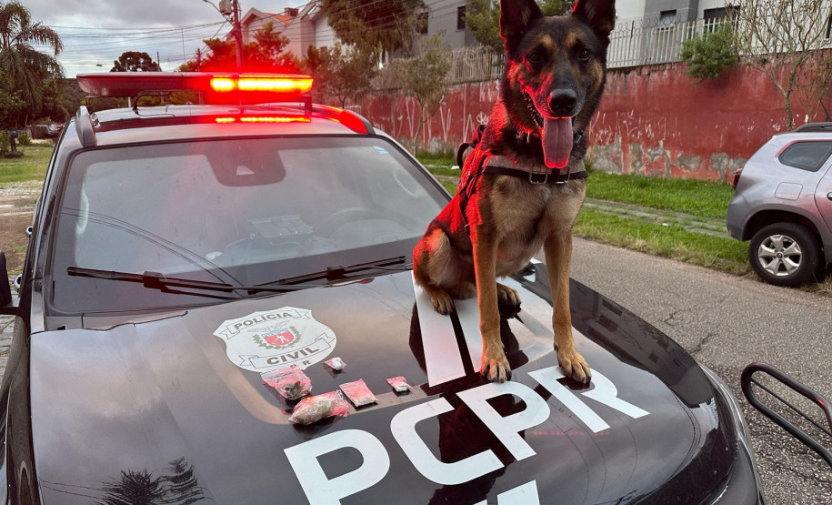 PCPR prende oito em operação contra organização ligada ao tráfico e lavagem de dinheiro