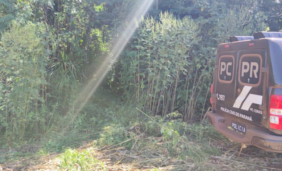 PCPR prende duas pessoas por homicídio e ocultação de cadáver em Francisco Beltrão