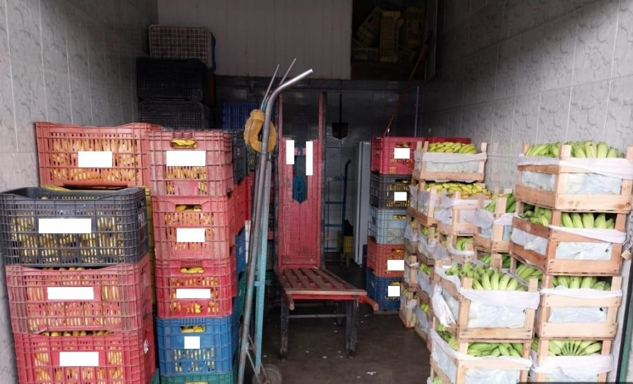 PCPR prende dois homens por furto e receptação de carga de banana em Curitiba