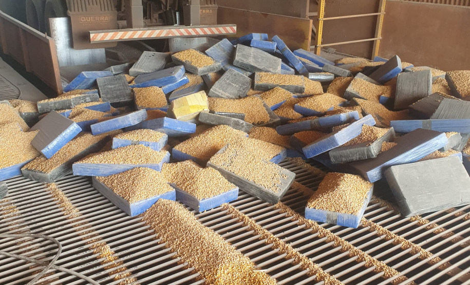 PCPR e DOFMS prendem homem que transportava mais de 7 mil toneladas de maconha em Aral Moreira