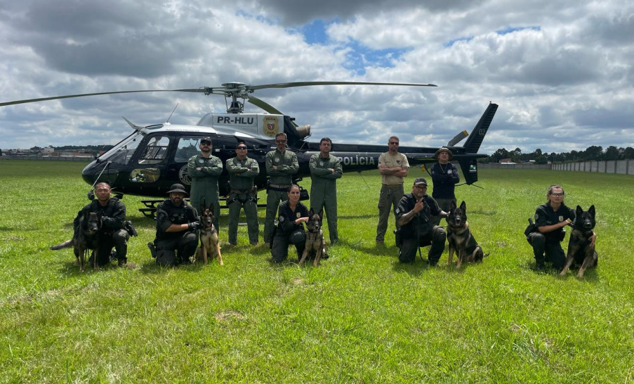 PCPR treina cães farejadores em aeronaves para operações emergência