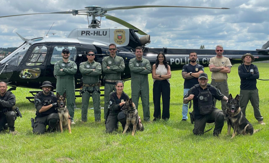 PCPR treina cães farejadores em aeronaves para operações emergência